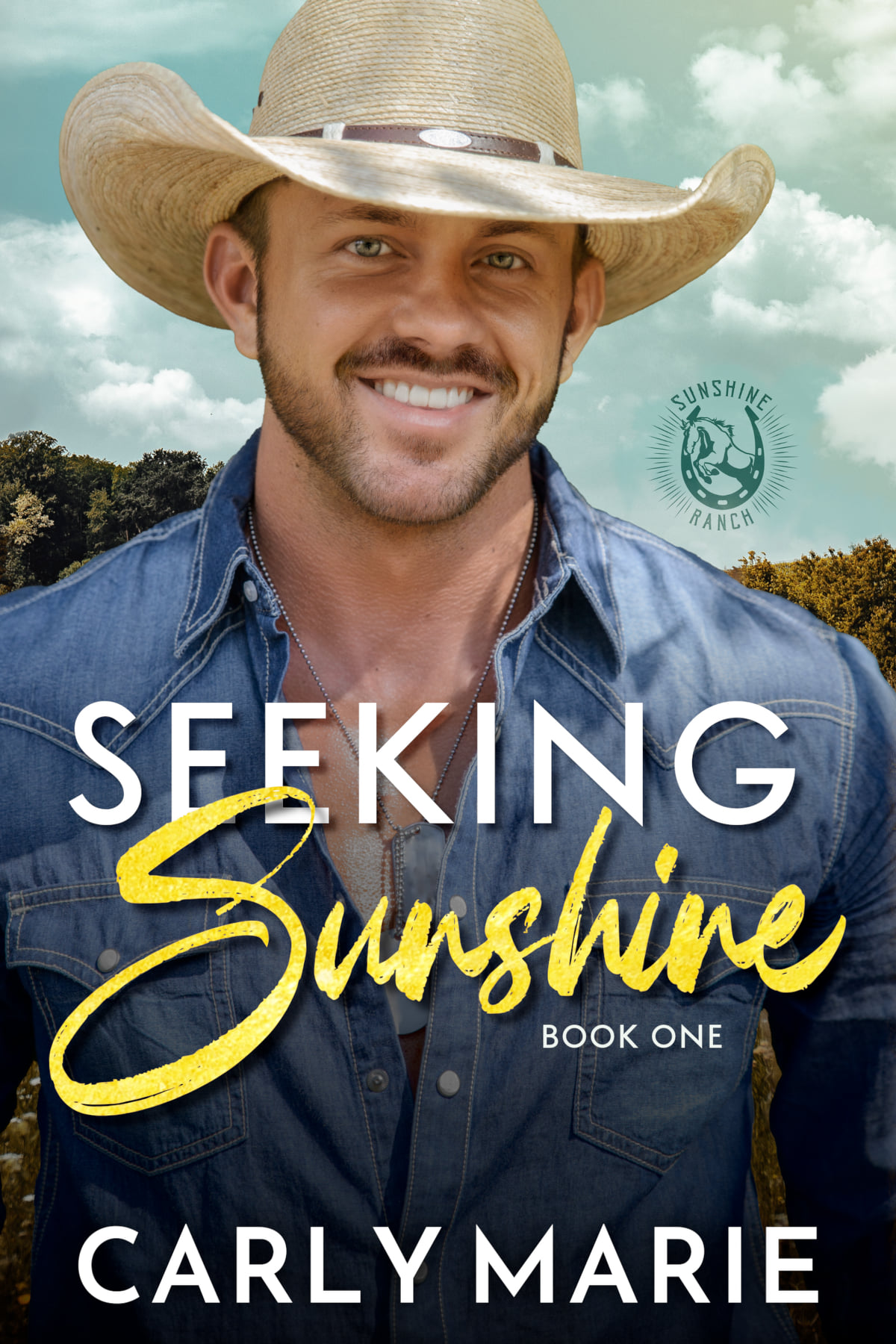 Seeking Sunshine (Sunshine Ranch, #1)