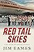 Red Tail Skies: A big book of Qantas Stories