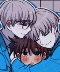 Pufferfish and dolphins (Unknown Binding)