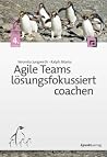 Agile Teams lösun...