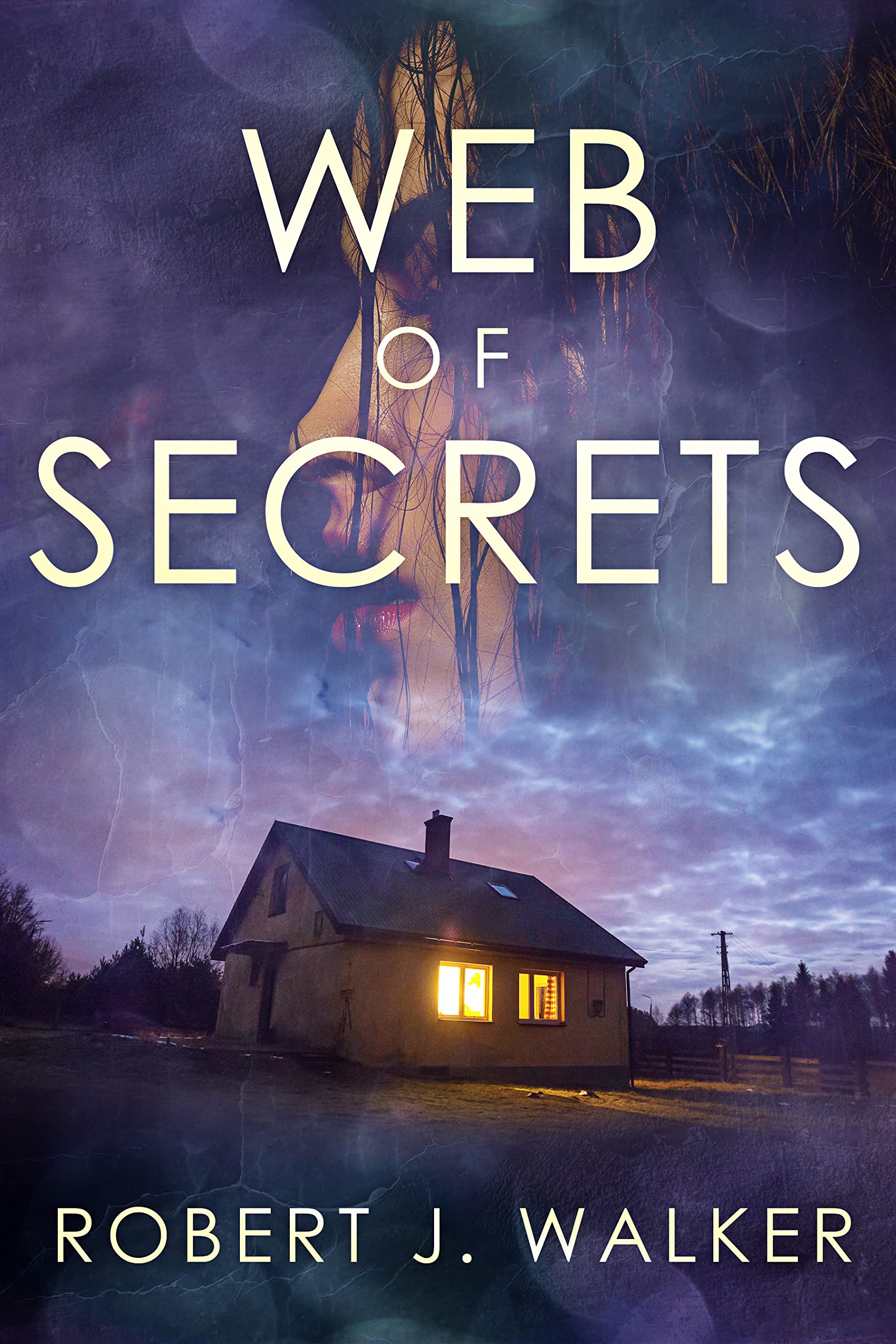Web of Secrets: A Riveting Kidnapping Mystery Boxset (Kindle Edition)