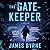 The Gatekeeper (Dez Limerick, #1)