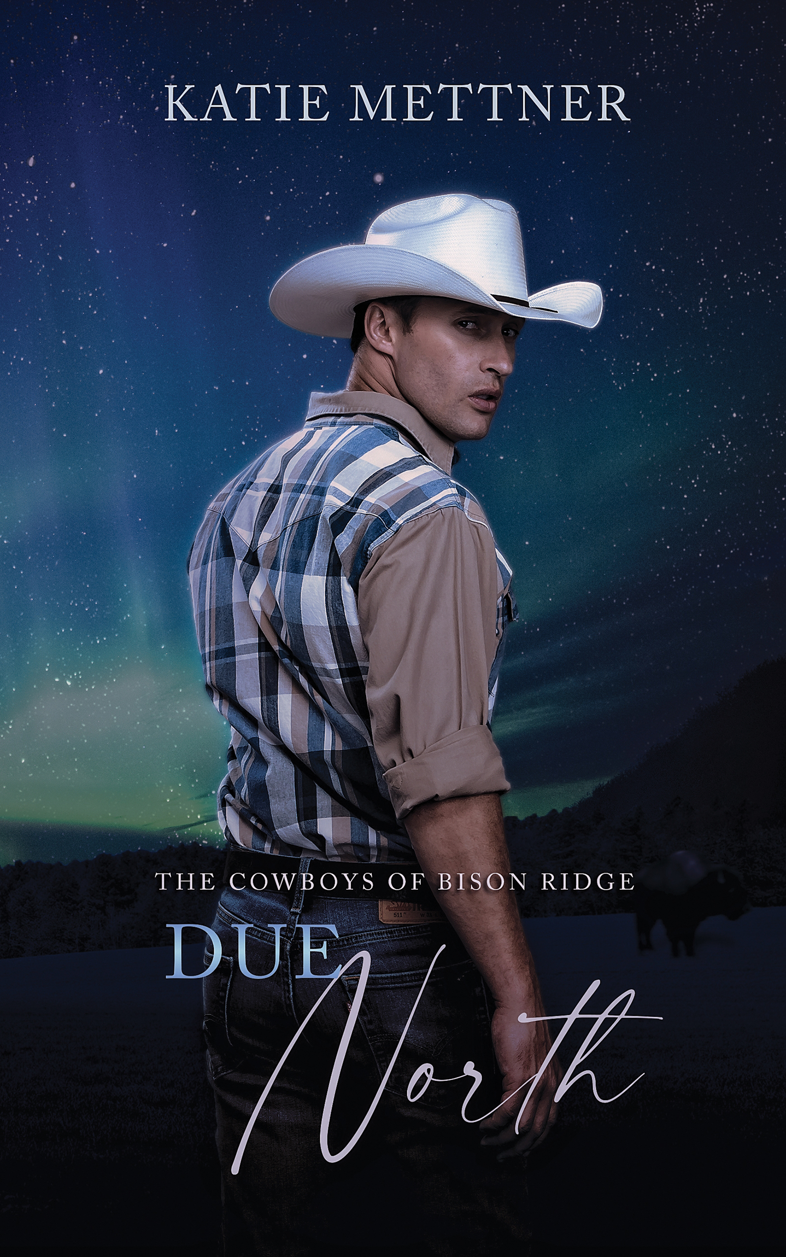 Due North (The Cowboys of Bison Ridge #3)