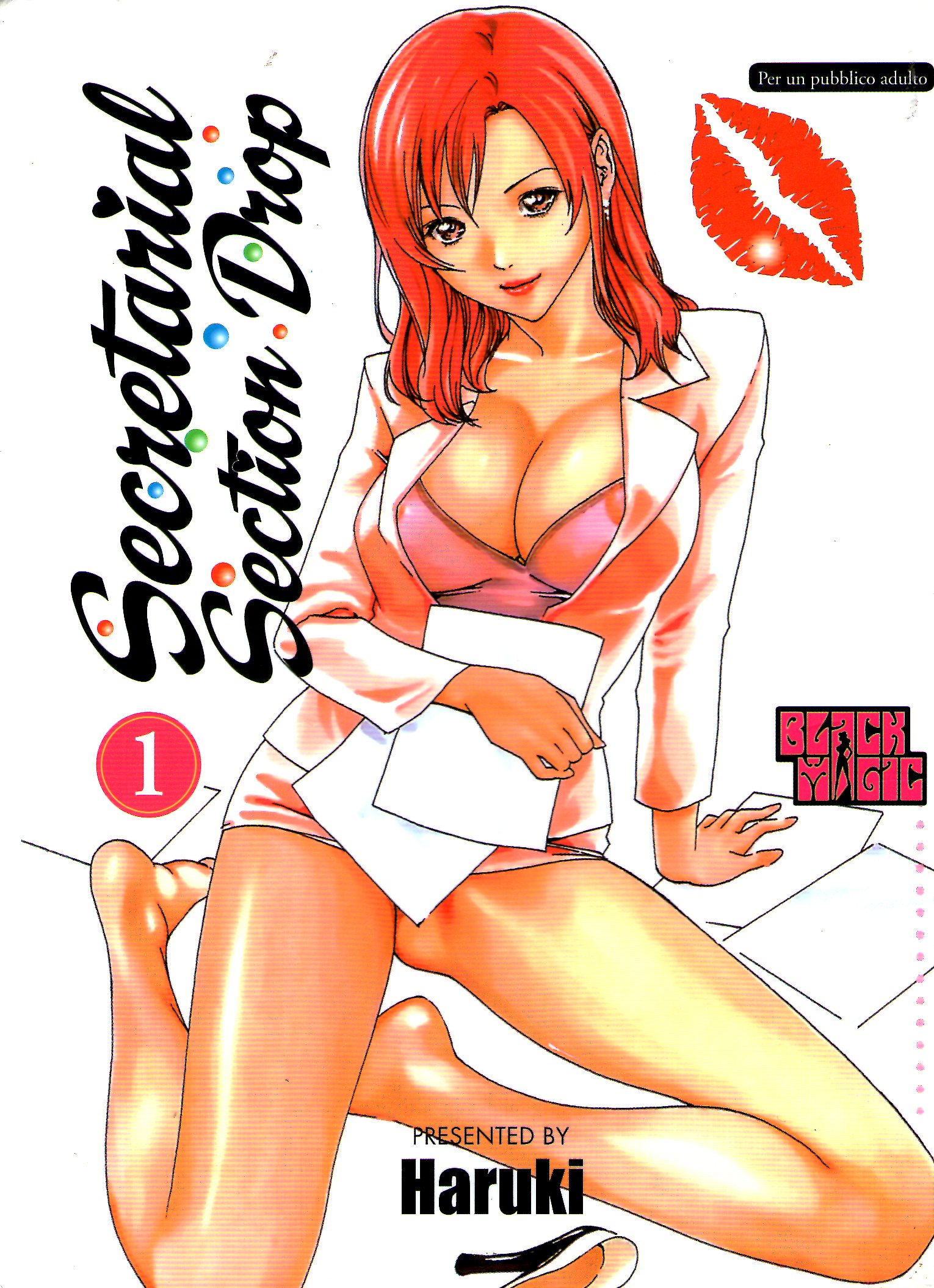 Secretarial section drop, Vol. 1 (Paperback)