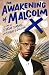 The Awakening of Malcolm X: A Novel