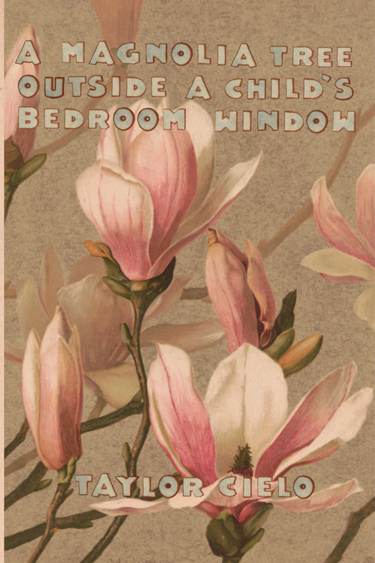 A Magnolia Tree Outside A Child's Bedroom Window