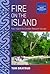 Fire on the Island: Fear, Hope and a Christian Revival in Vanuatu (ASAO Studies in Pacific Anthropology, 13)