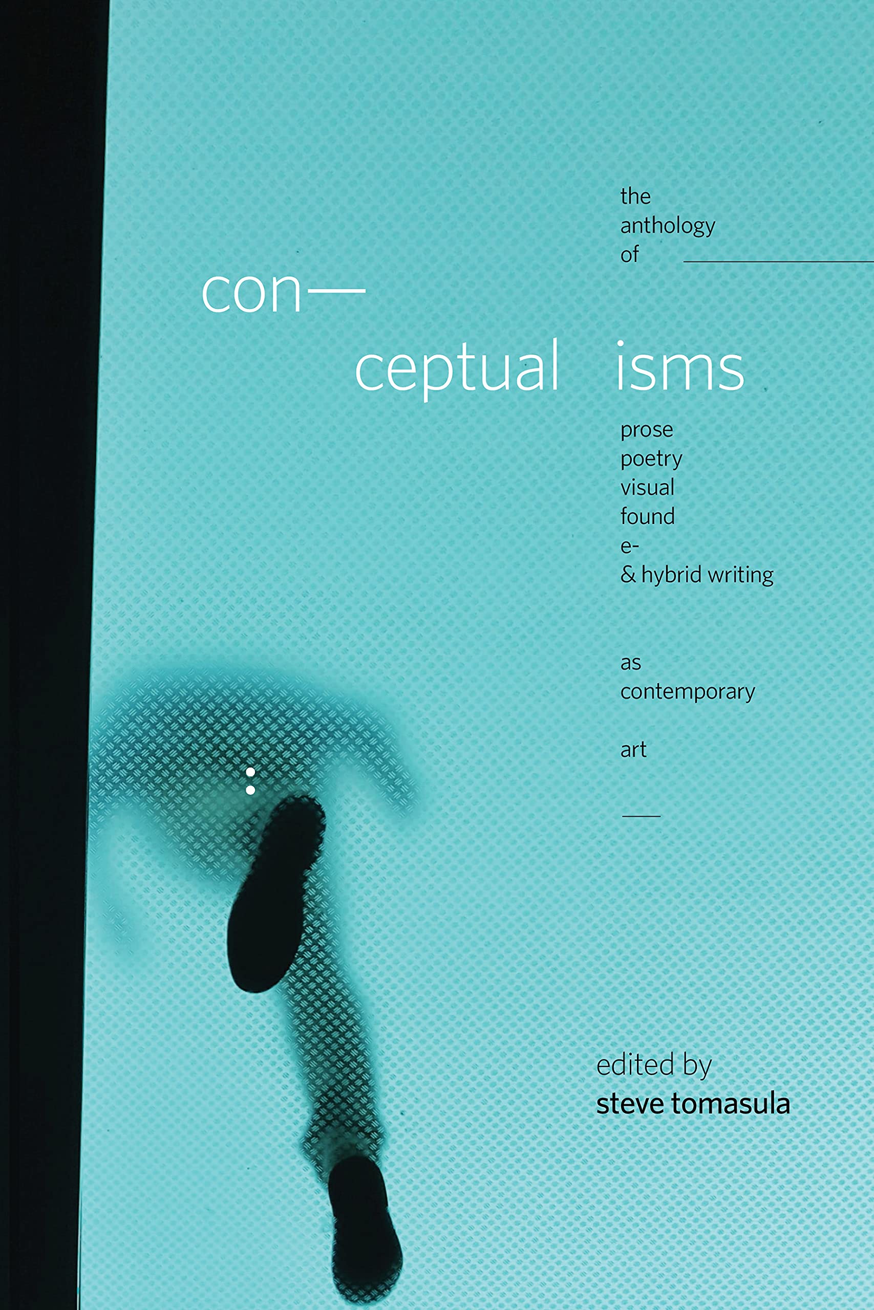 Conceptualisms: The Anthology of Prose, Poetry, Visual, Found, E- & Hybrid Writing as Contemporary Art (Paperback)