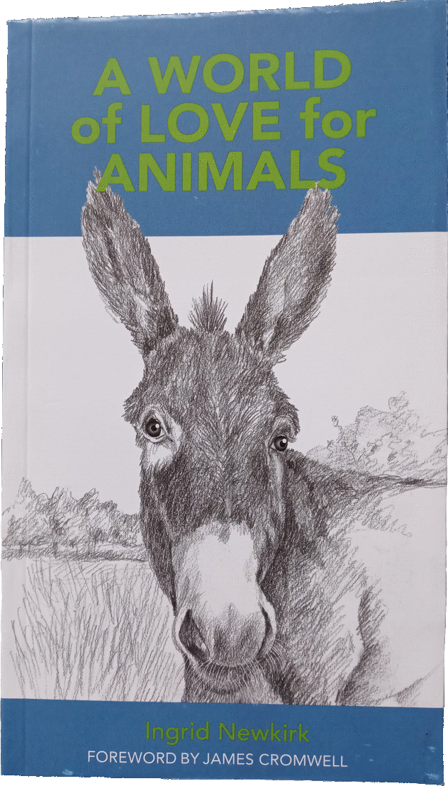 A World of Love for Animals
