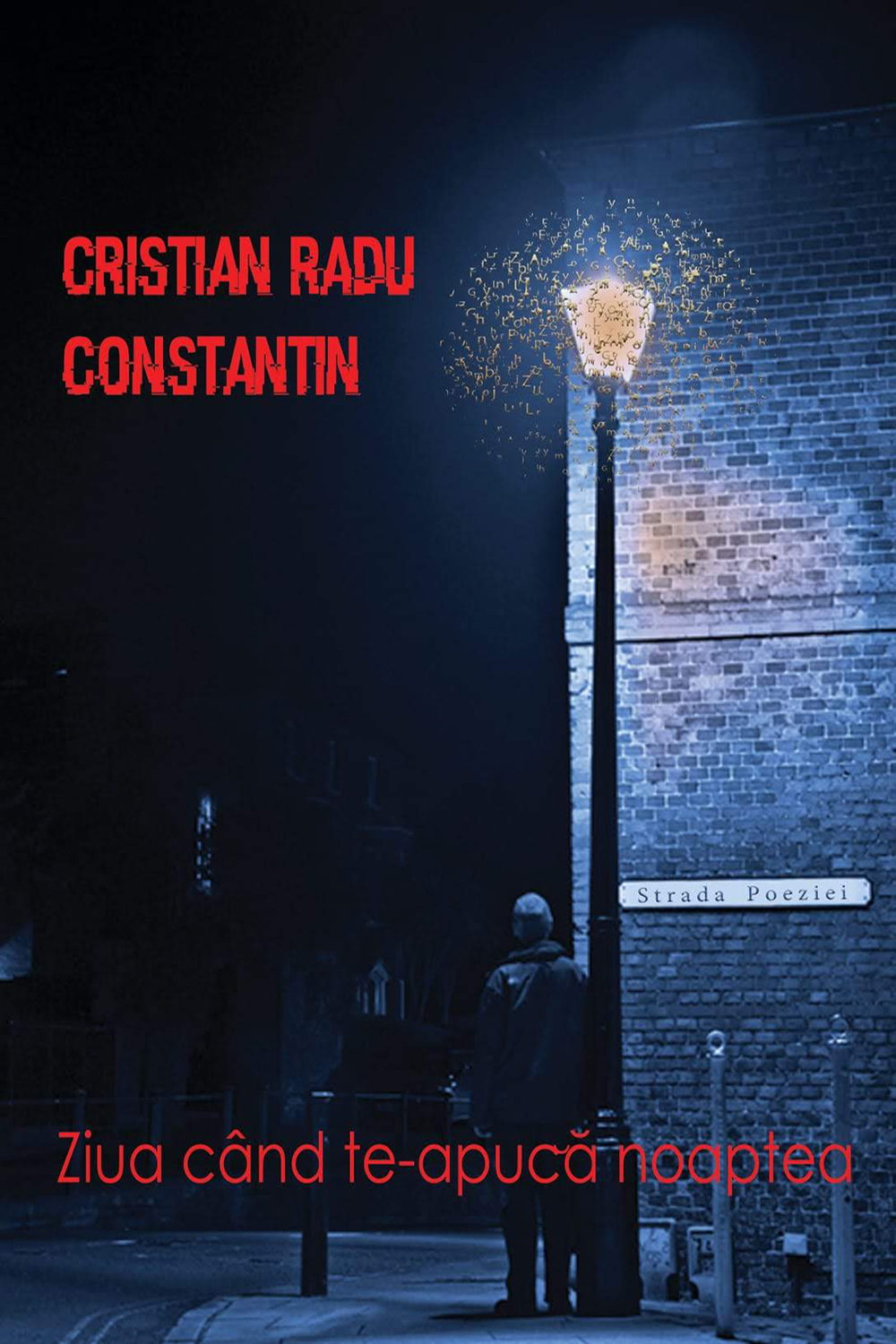 Ziua când te-apucă noaptea (Paperback)