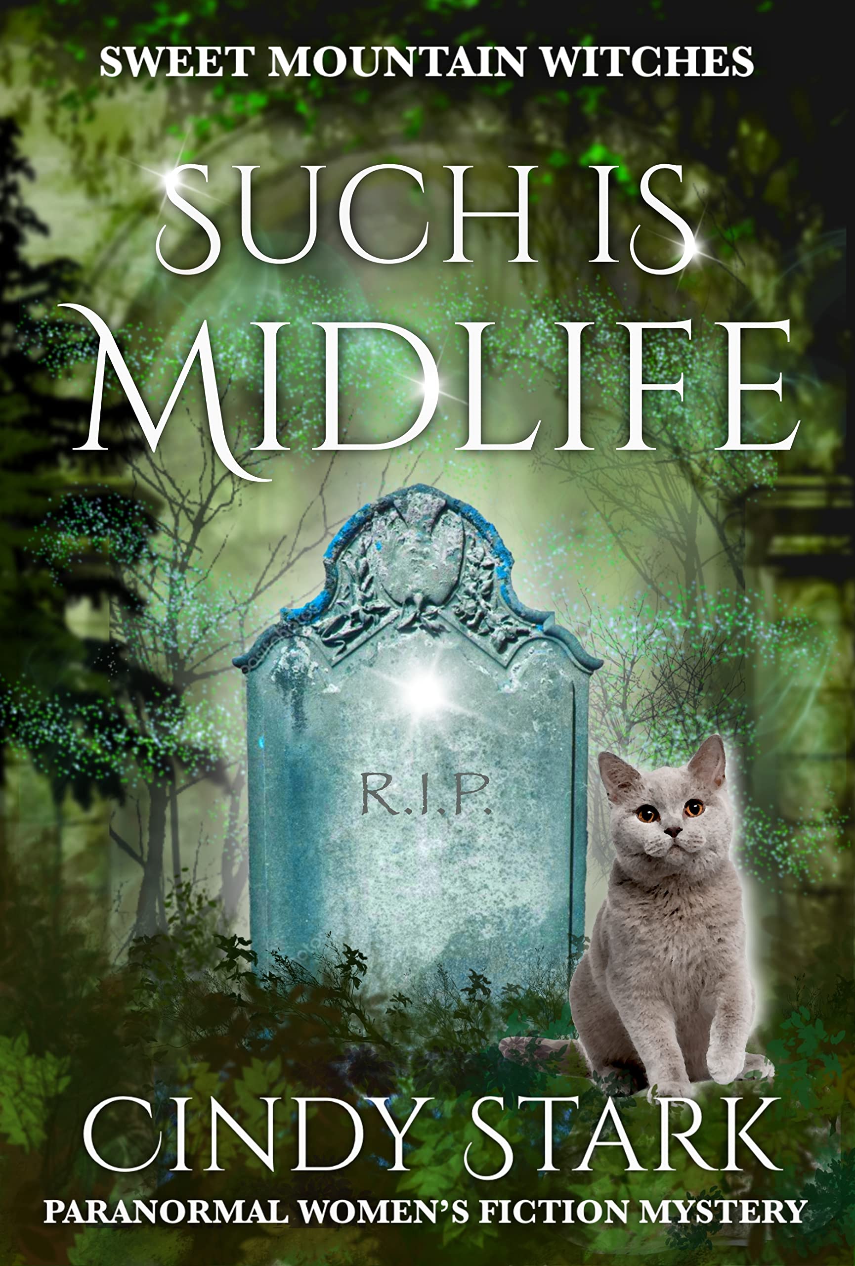 Such is Midlife (Sweet Mountain Witches, #6)