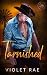 Tarnished (Silver Springs #1)