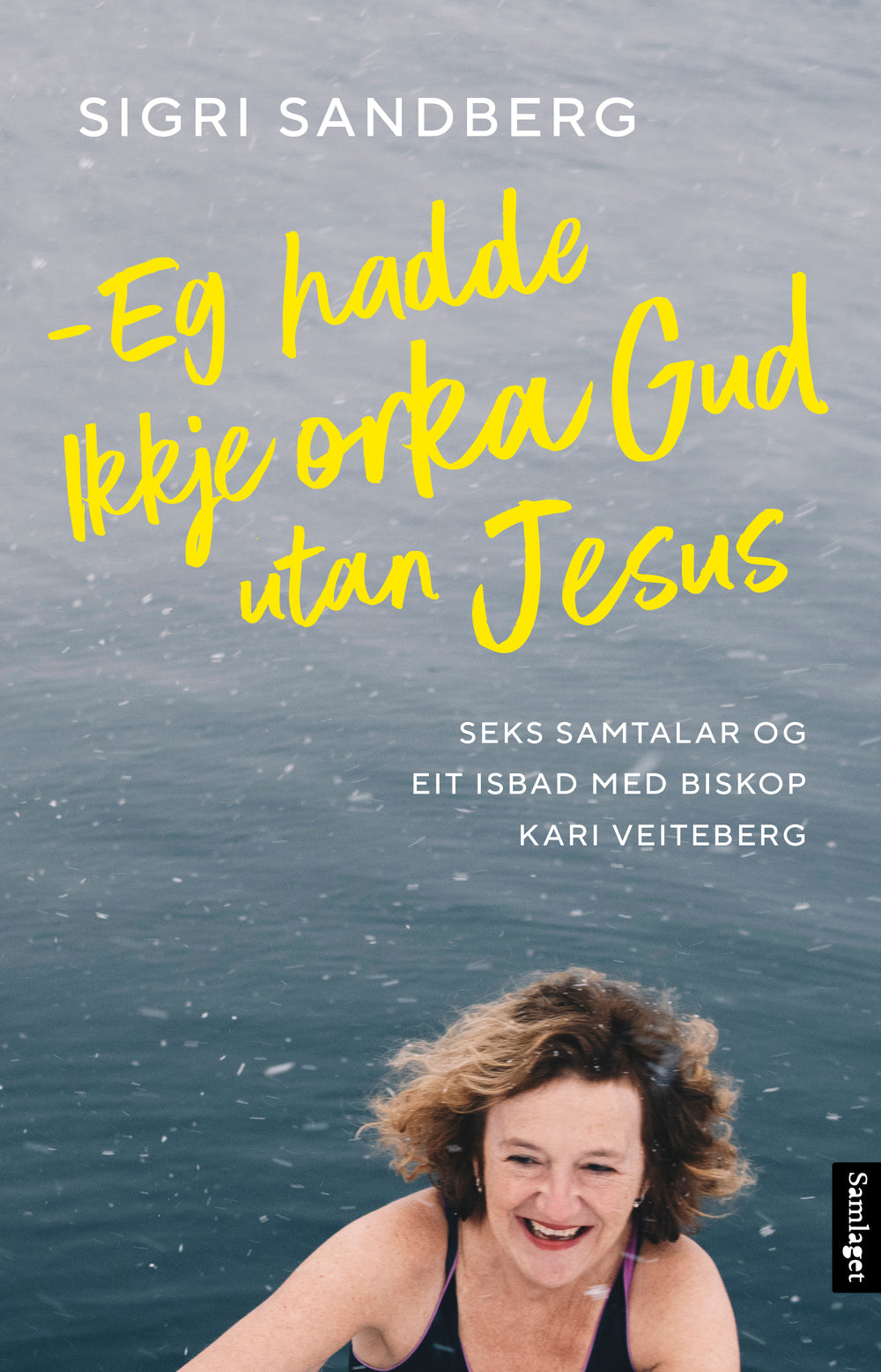 Eg hadde ikkje orka Gud utan Jesus : seks samtalar og eit isbad med biskop Kari Veiteberg