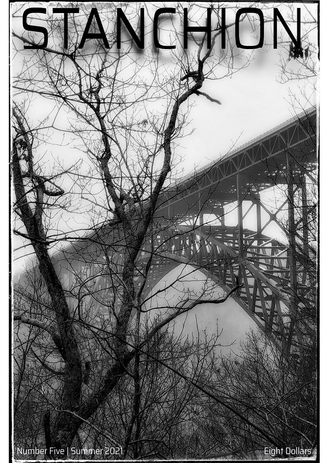 Stanchion: Issue Five