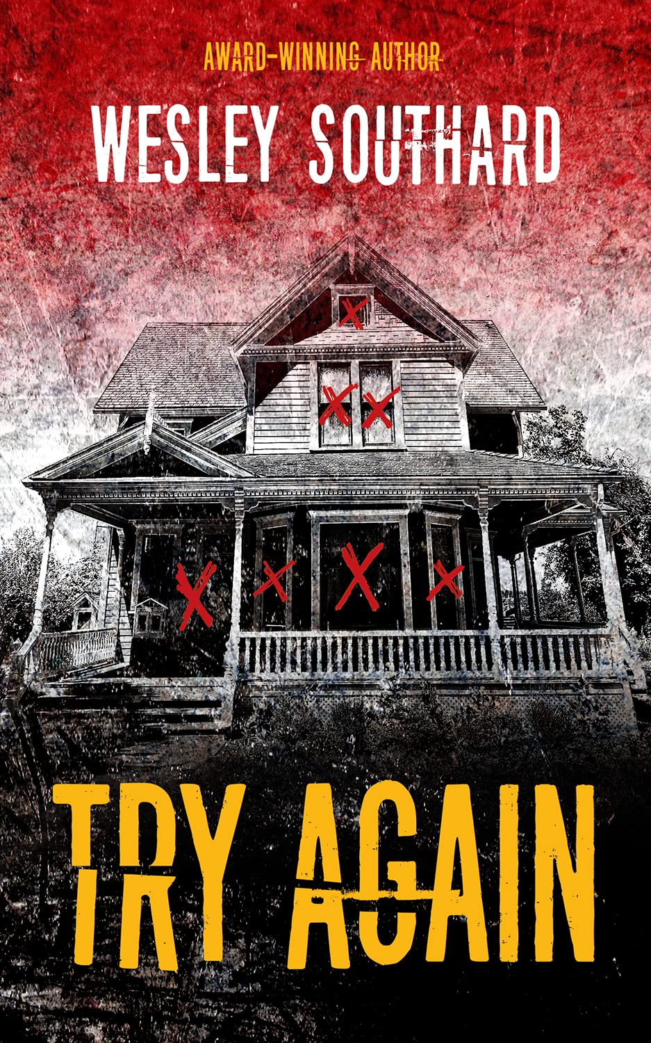 Try Again (Kindle Edition)
