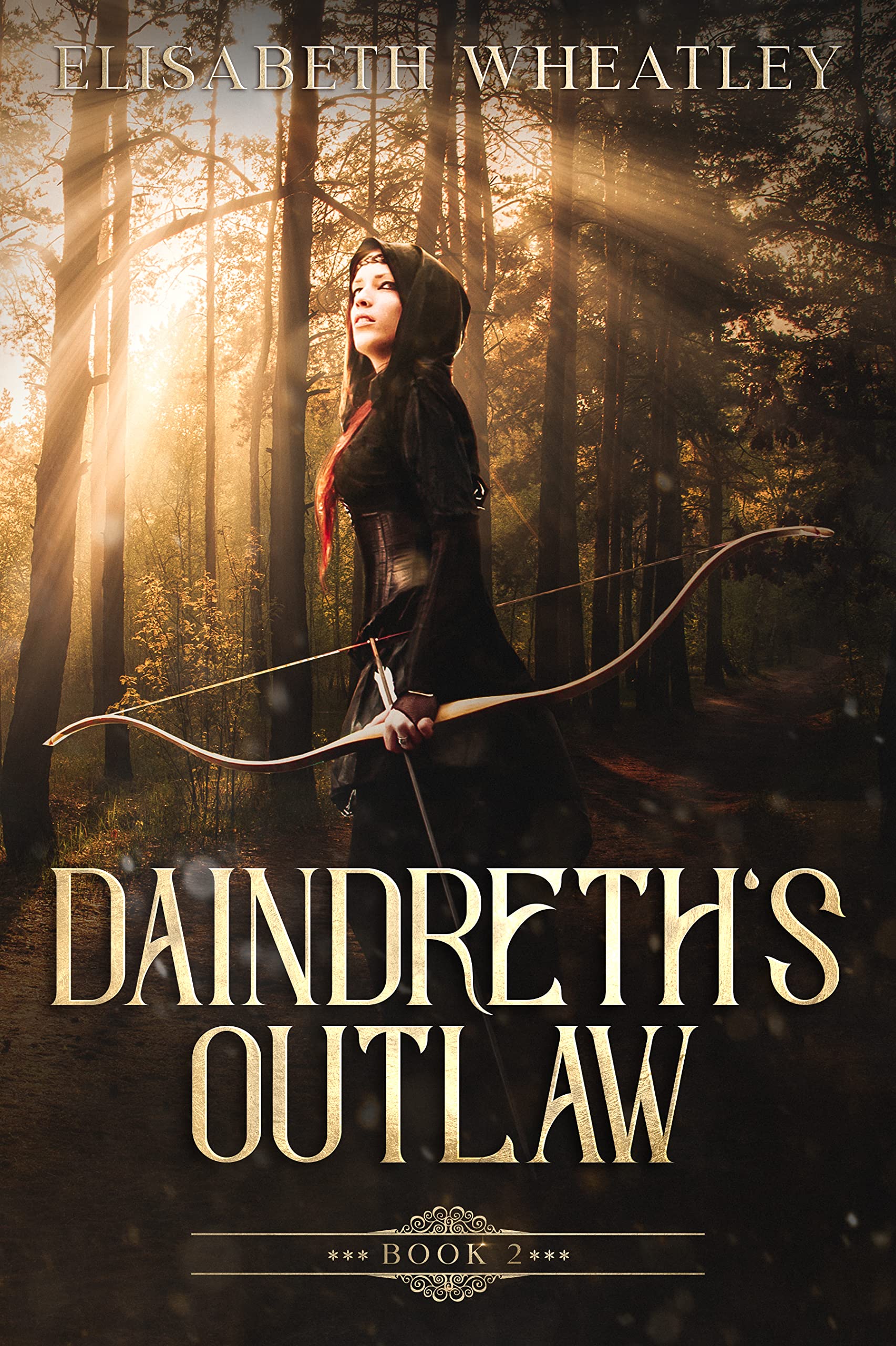 Daindreth's Outlaw (Daindreth's Assassin, #2)