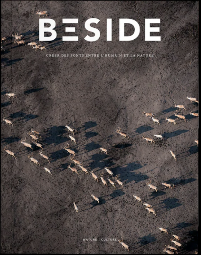 Que nous révèlent les trajectoires de la nature? (Beside Magazine, #4)