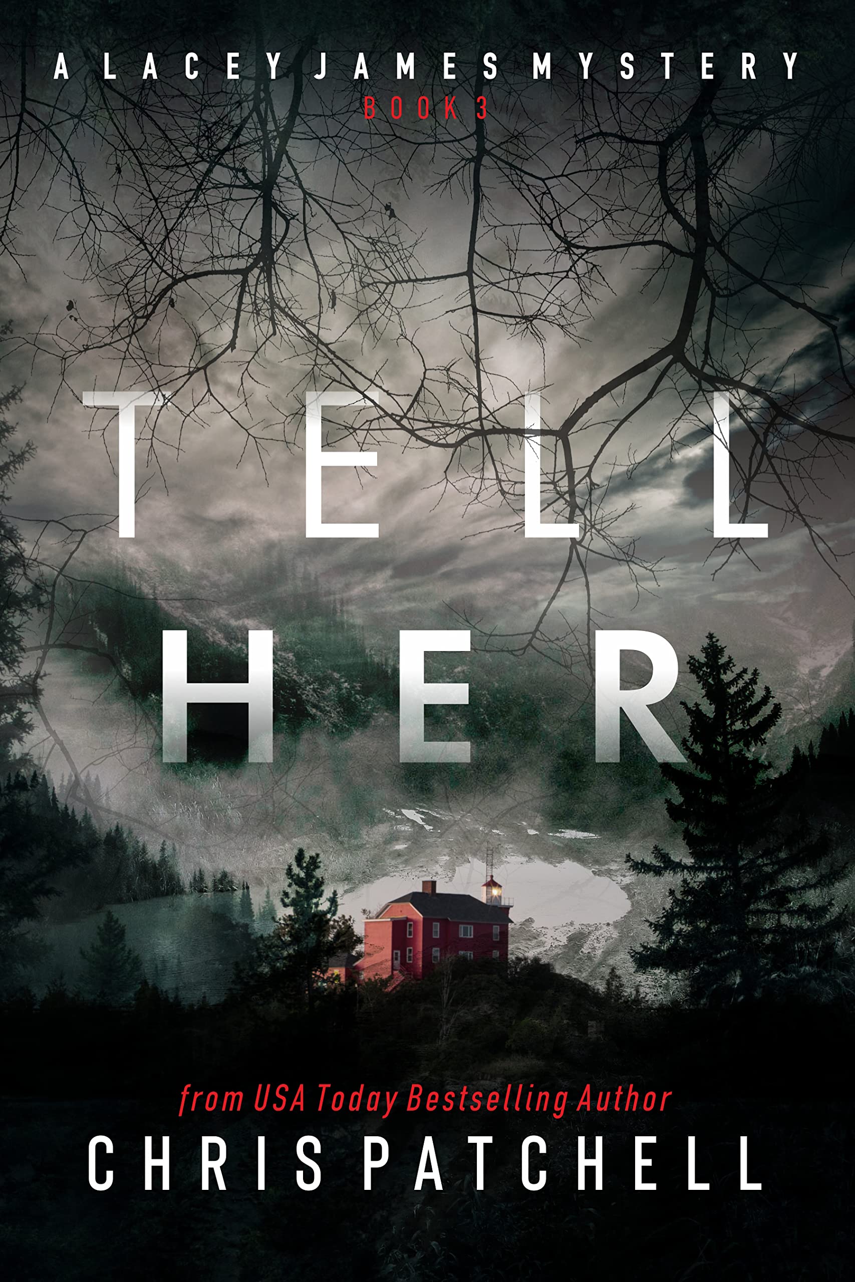 Tell Her: A Small-Town Psychological Crime Thriller (The Lacey James Series Book 3)