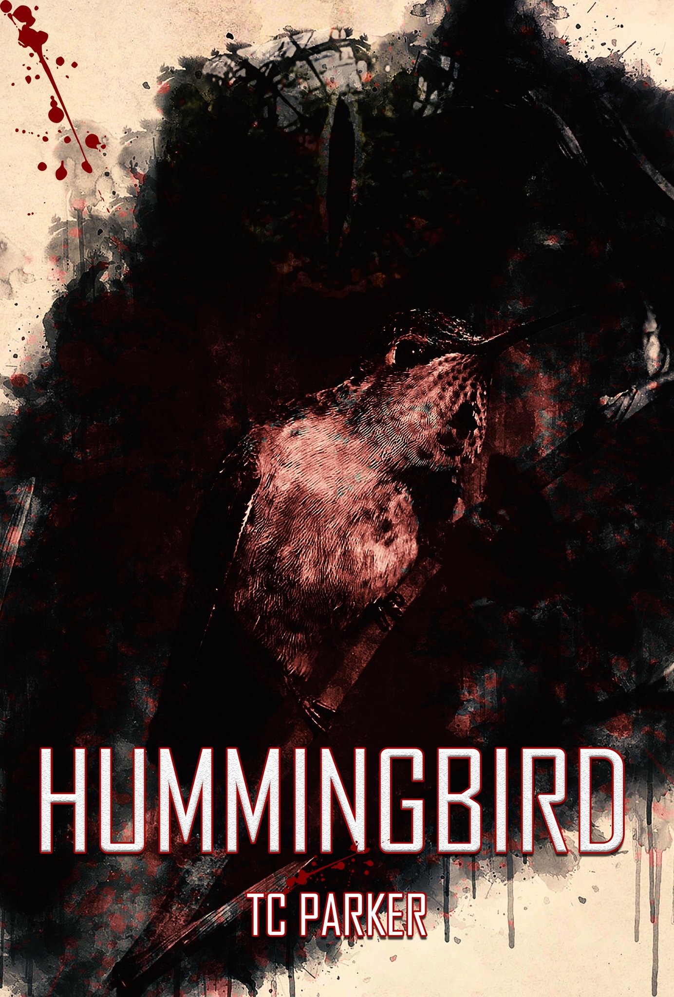 Hummingbird (Hummingbird Universe, #1)