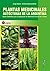 PLANTAS MEDICINALES -DE USO...