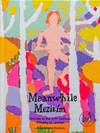 Meanwhile - Mezitím (Hardcover)