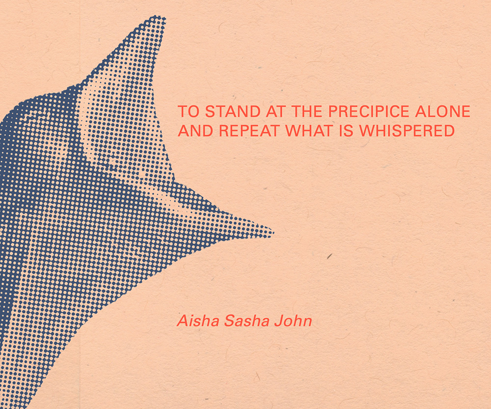 To Stand at the Precipice Alone and Repeat What Is Whispered