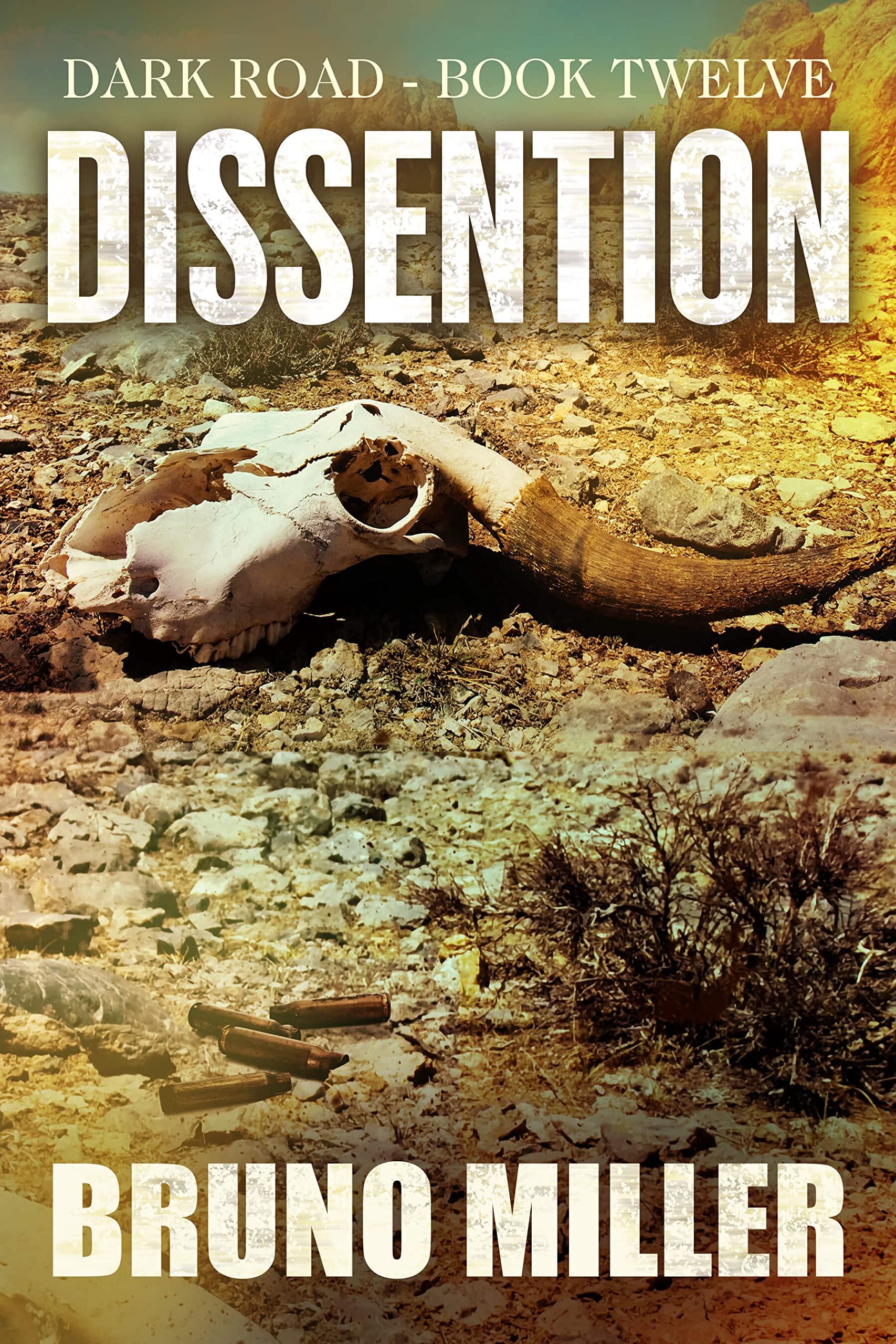 Dissention: A Post-Apocalyptic EMP Survival series (Dark Road Book 12)