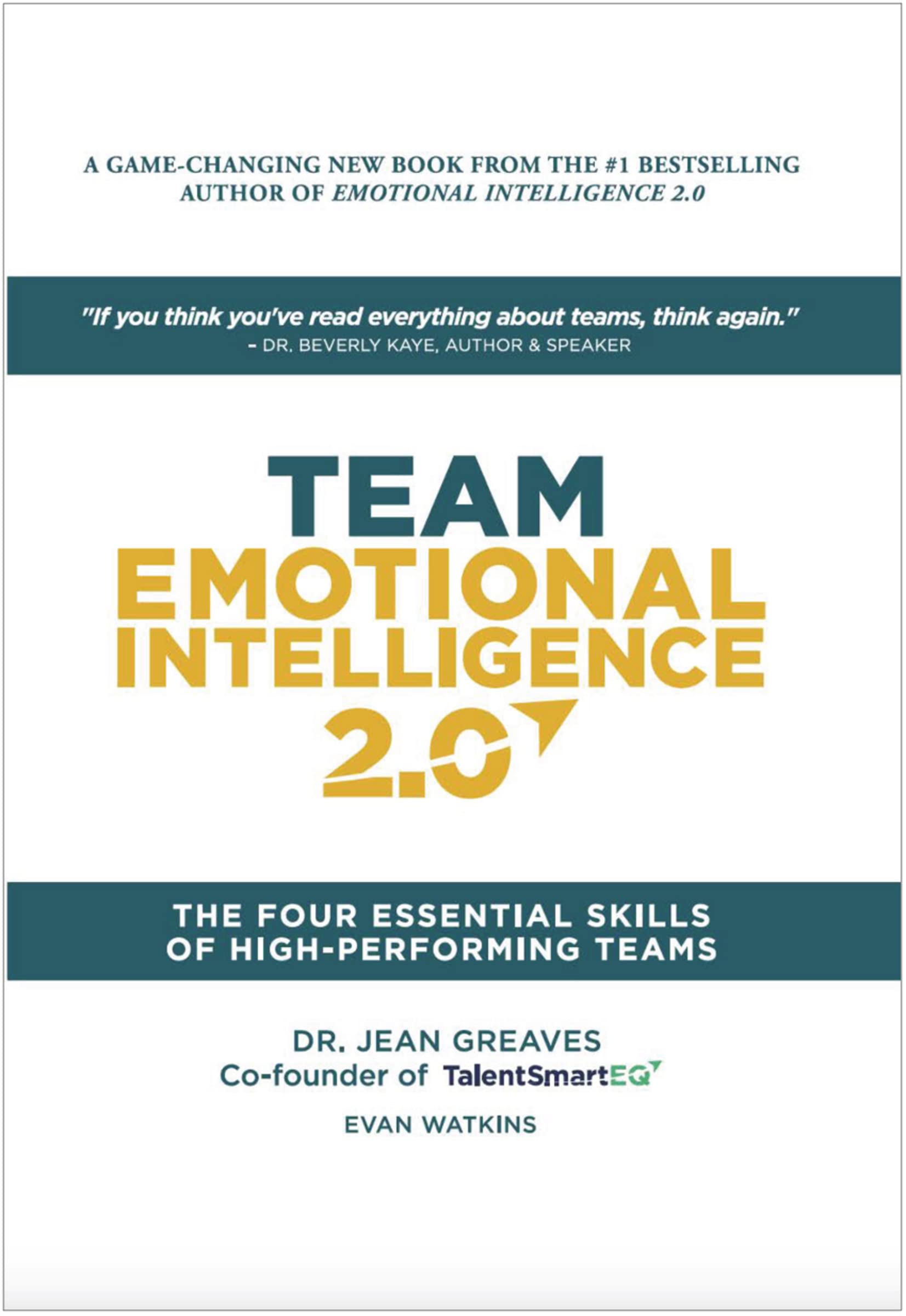 Team Emotional Intelligence 2.0: The Four Essential Skills of High Performing Teams (Hardcover)