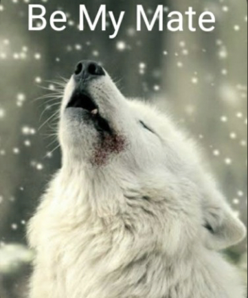 Be My Mate (Mates Series, #2)