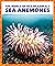 Sea Anemones (Pogo Books: T...