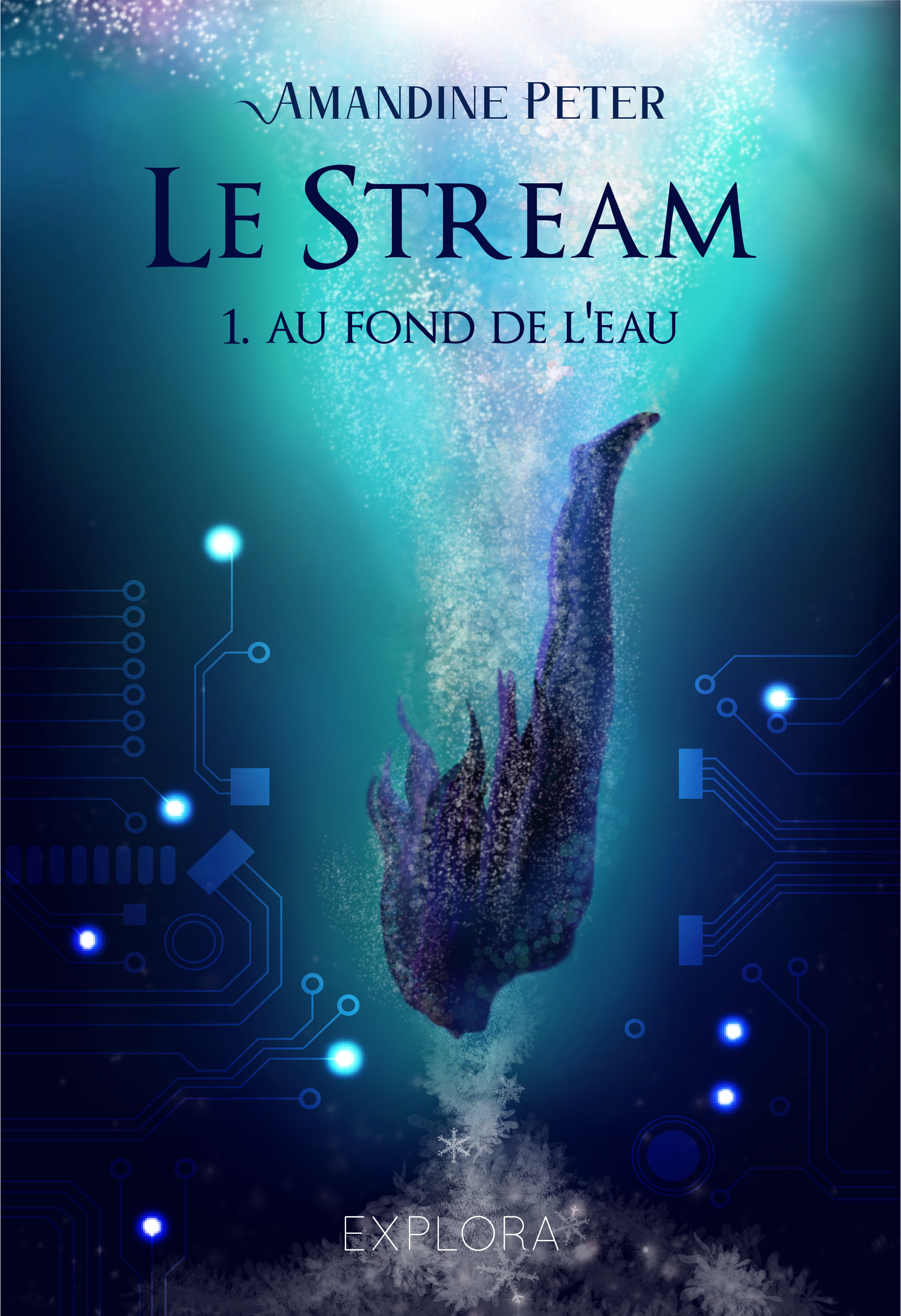 Au fond de l'eau (Le Stream #1)