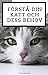 Förstå din katt och dess behov