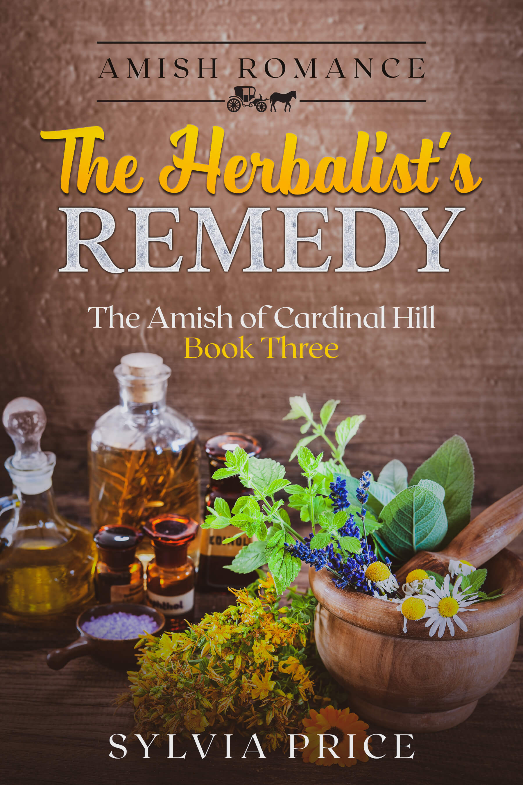 The Herbalist’s Remedy (The Amish of Cardinal Hill #3)