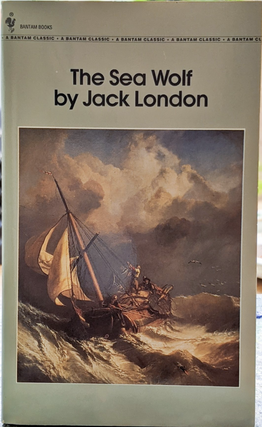 The Sea Wolf