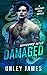 Damaged (Necessary Evils, #...