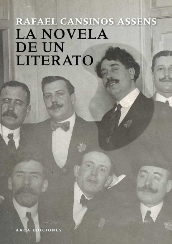 La novela de un literato (Hardcover)