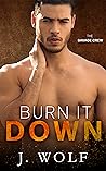 Burn it Down by Julia  Wolf