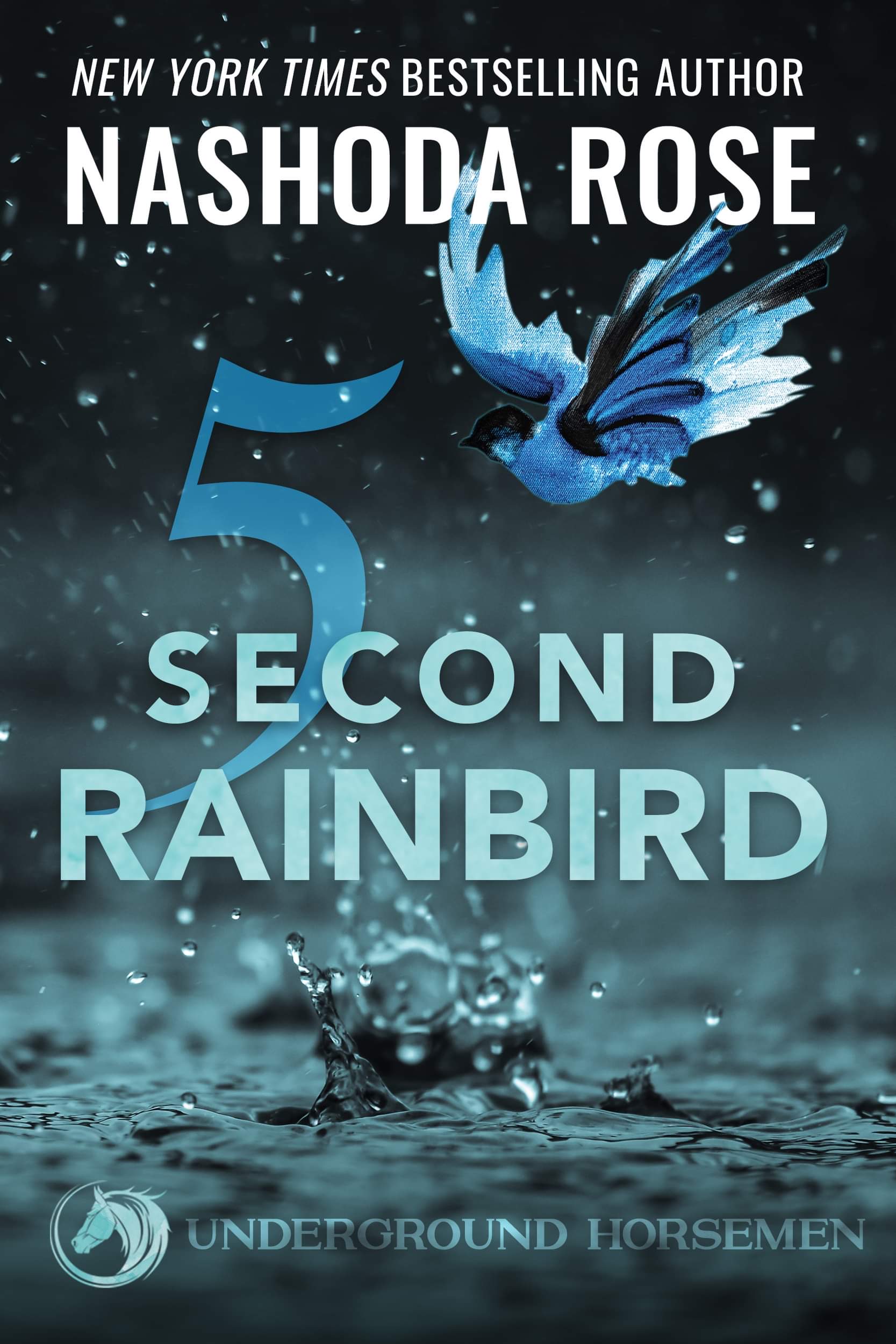 Five Second Rainbird (Underground Horsemen #1)