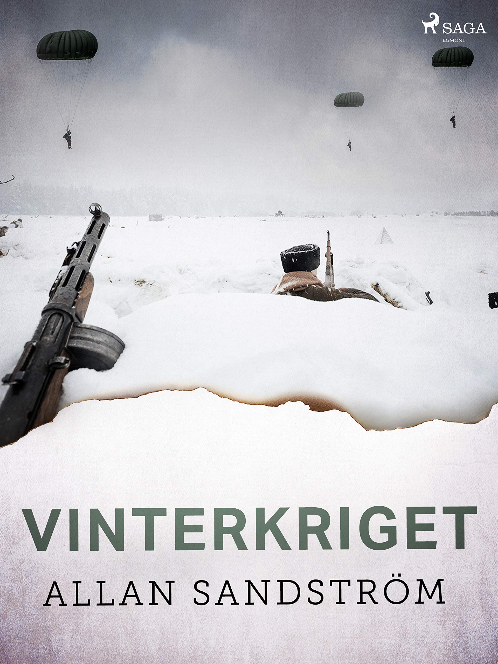 Vinterkriget (Kindle Edition)