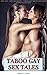 Taboo Gay Sex Tales: Gay Hu...