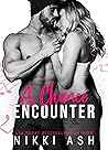 A Chance Encounter by Nikki Ash