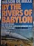 Nelson de mille by the rivers of babylon