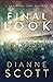 Final Look (A Christine Lan...