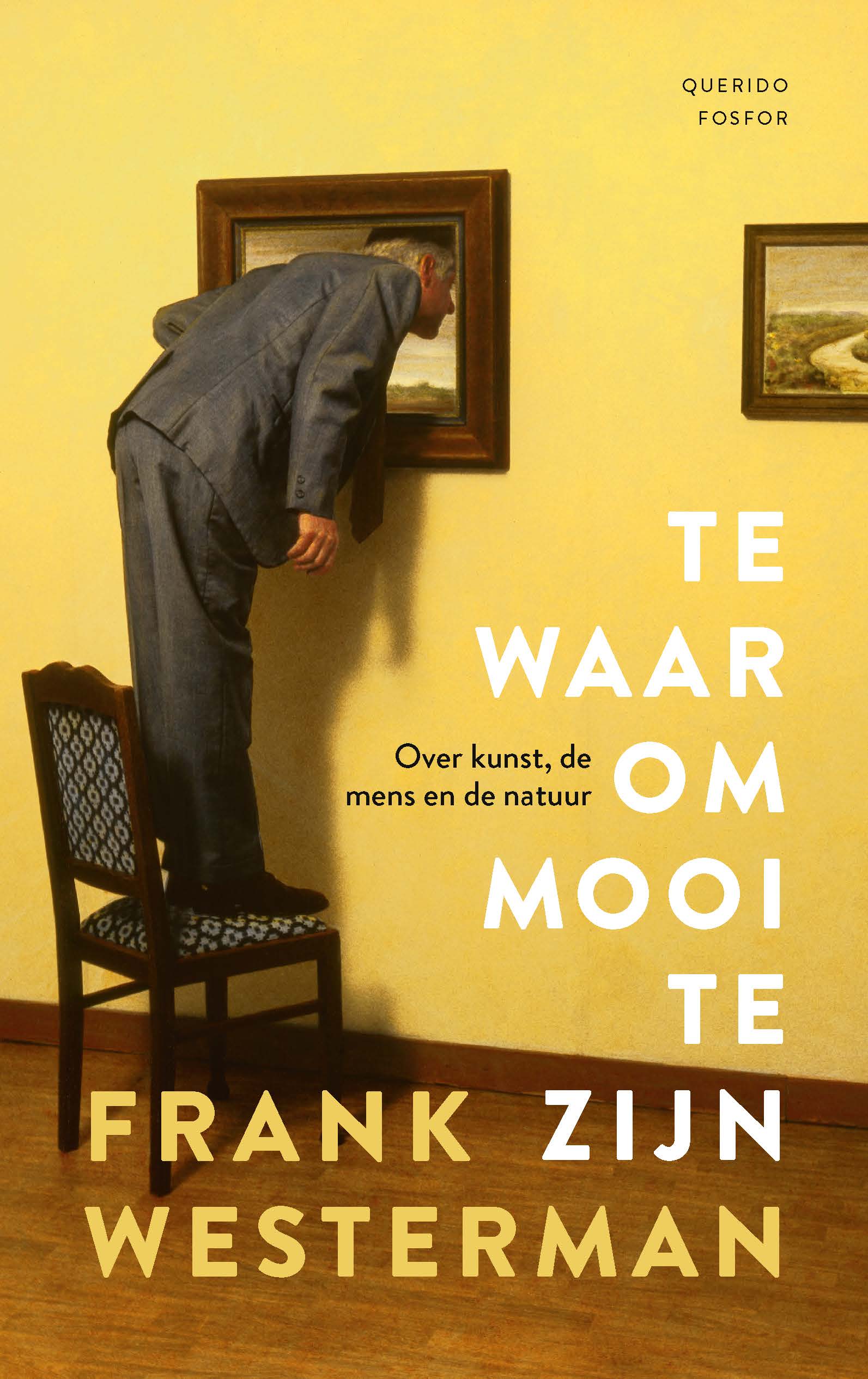 Te waar om mooi te zijn (Paperback)