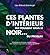 Ces plantes d'intérieur qui poussent dans le noir... ou presque !