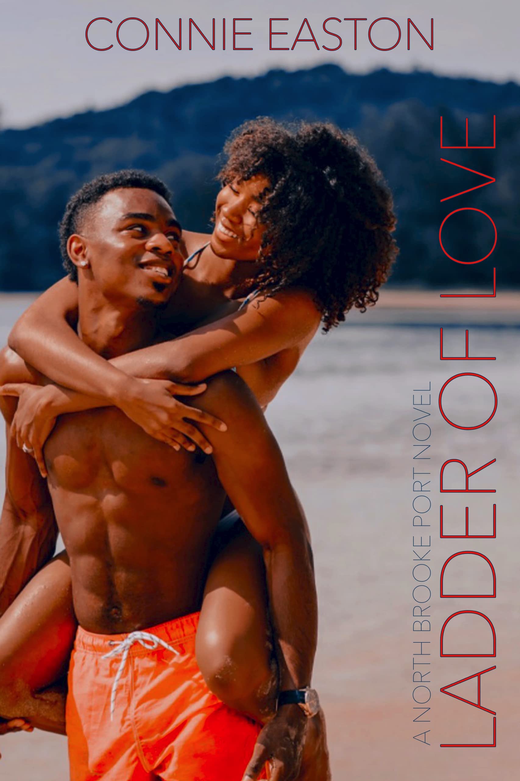 Ladder of Love: A North Brooke Port Novel (Kindle Edition)