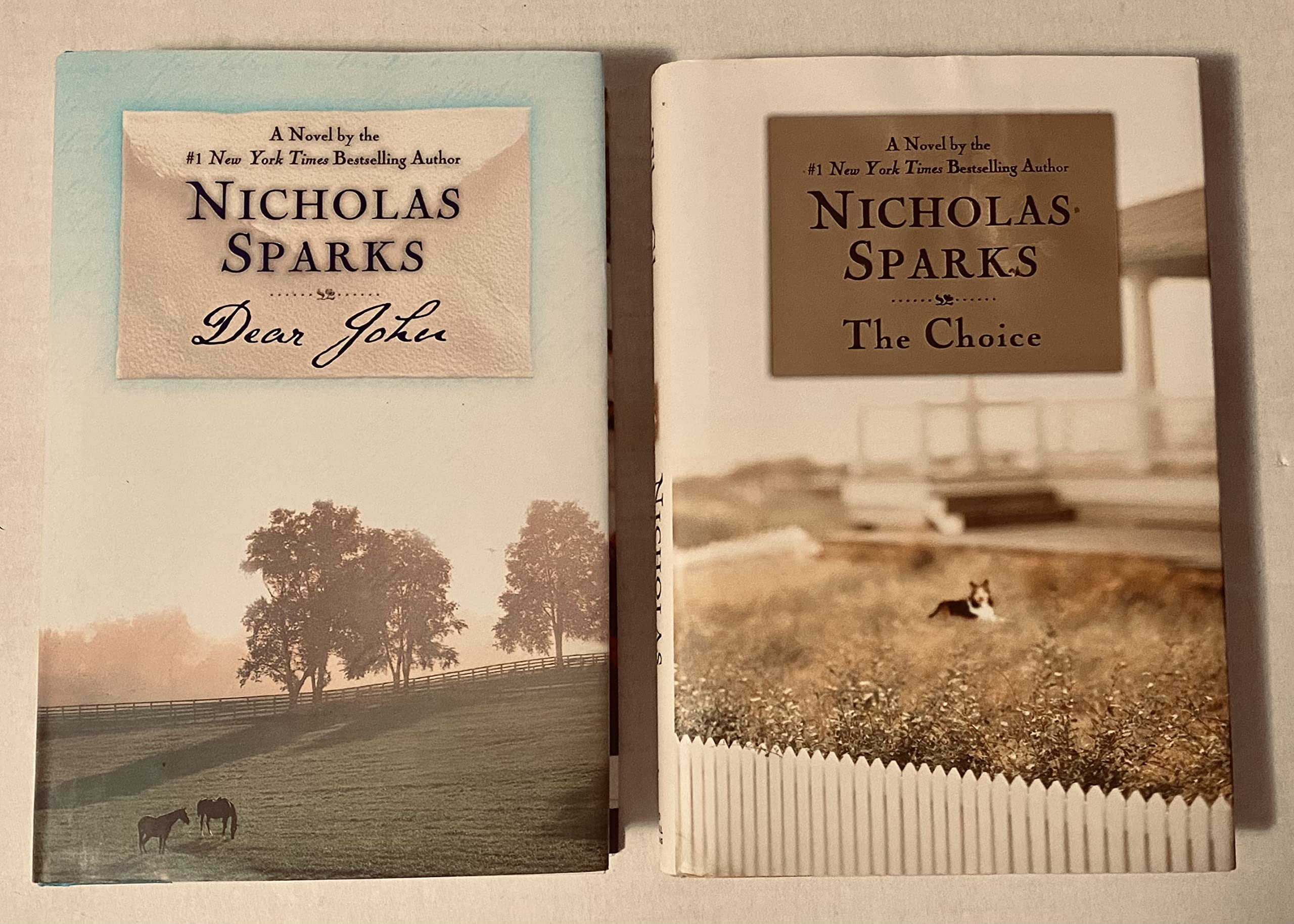 Dear John / The Choice (Hardcover)