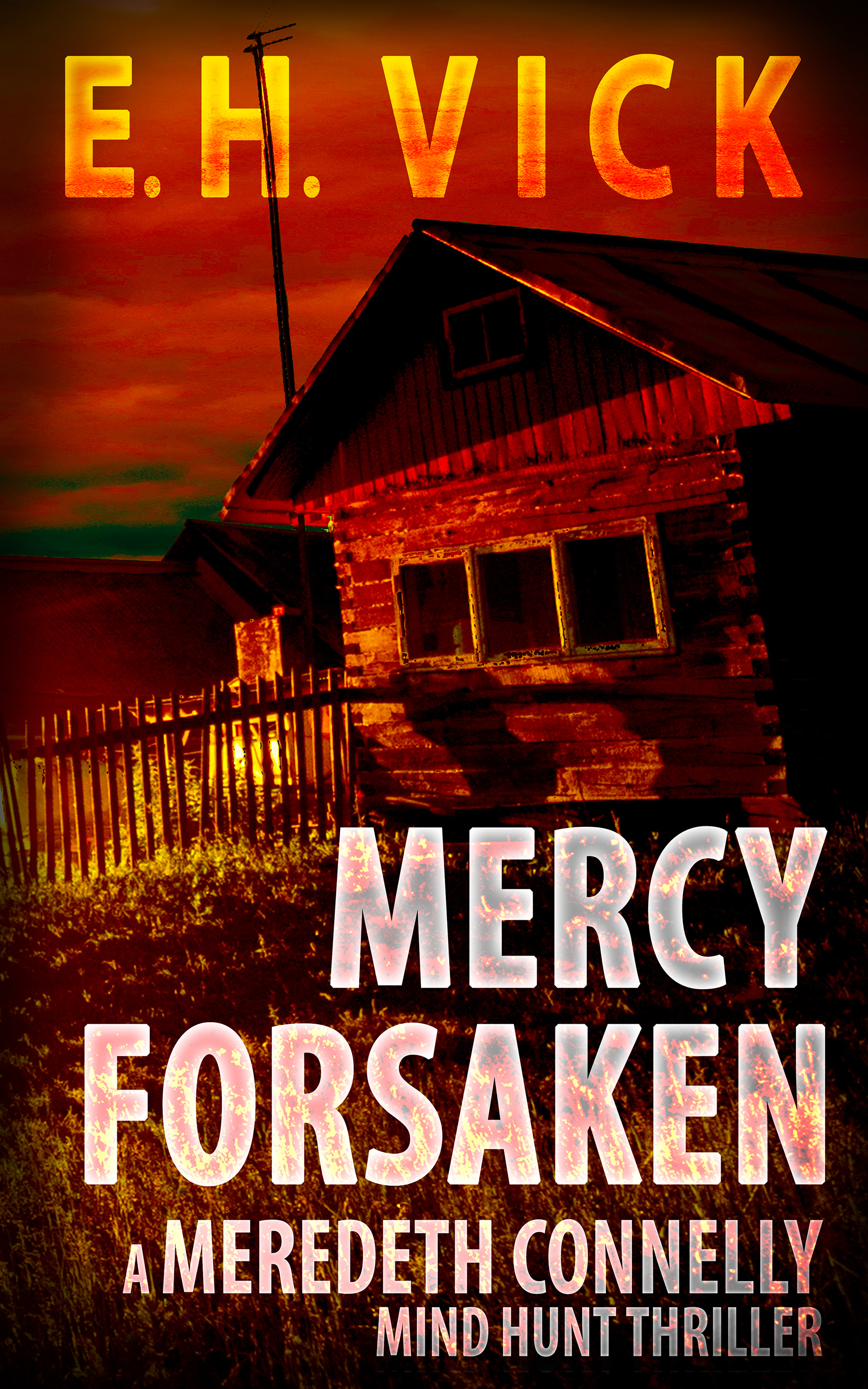 Mercy Forsaken (Meredeth Connelly Mind Hunt Thrillers #1)
