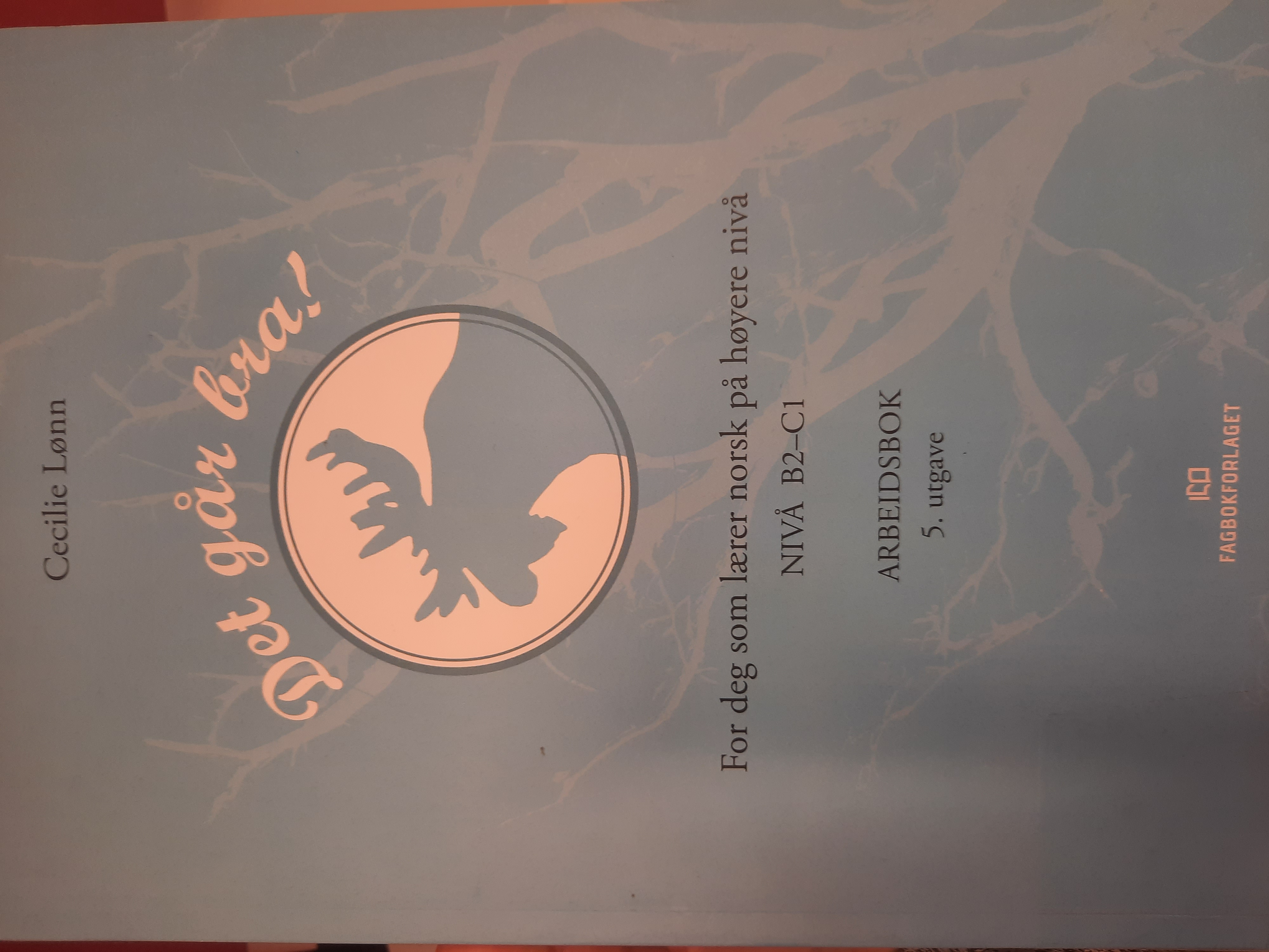 Det går bra! For deg som lærer norsk på høyere nivå. Nivå B2-C1. Arbeidsbok