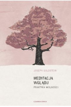 Medytacja wglądu. Praktyka wolności
